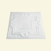 Great Lakes Tin Niagara 2' X 2' Lay-in Tin Ceiling Tile in Gloss White - Y54-00