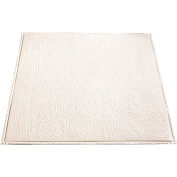 Great Lakes Tin Chicago 2' X 2' Nail-up Tin Ceiling Tile in Antique White - T60-02