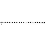 Tripp Lite PS7224-20T 72" Multiple Outlet Strip w/ Locking Plug, 20-Amp, 24 Outlets, 15' Cord