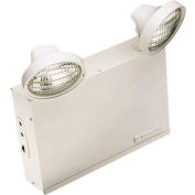 Emergi-Lite 12LSM110-210LG Large Steel Emergency Light - 12V, 110W, 2- 4W LED MR16 Lamps