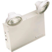 Emergi-Lite 12LSM220-210LG Large Steel Emergency Light - 12V, 220W, 2- 4W LED MR16 Lamps