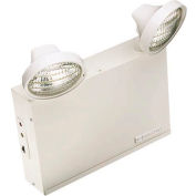 Emergi-Lite LSM54-210LA Large Steel Emergency Light - 6V, 54W, 2- 9W Lamp Heads