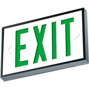 Emergi-Lite WSLX-2061G-N Everlite Tritium Exit Sign - 20 Year Single Face Green