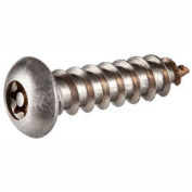 Tamper-Pruf Stainless Steel Security Sheet Screw With Button Torx Head, 100 Per Pack