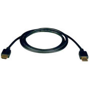 Tripp Lite Standard Speed HDMI Cable, Digital Video with Audio (M/M), Black, 100 ft.