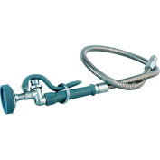 T&S Brass B-0100 Pre-Rinse Spray With Flexible Stainless Steel Hose