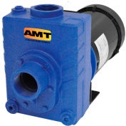 AMT 2761-95 2&quot; Cast Iron Self-Priming Centrifugal Pump, 150gpm, 75psi, Buna-N Seal, 2hp