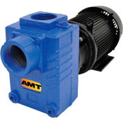 AMT 2875-95 3" Cast Iron Self-Priming Centrifugal Pump, 275gpm, 125psi, Buna-N Seal, 5hp