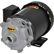 AMT 368A-98 3/4&quot; x 1/2&quot; Stainless Steel Straight Centrifugal Pump, Viton Seal, 1/3HP 1 Phase Motor