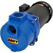 AMT 393A-95 2" NPT Cast Iron Sewage/Trash Pump, 150psi, Silicon Carbide, Viton Seal, 5hp