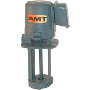 AMT 5380-95 Cast Iron Immersion Type Coolant Pump, 56gpm, Sealless Design, 3/8" NPT Discharge