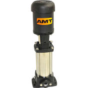 AMT MSV1-10-1P Multistage, Single Phase Pump, 10 Stages, 232psi, EPDM/Tungsten Carbide Seal