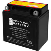 Mighty Max Battery YB9A 12V 9AH / 130CCA BATTERY