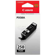 Canon® 6497B001 Ink (PGI-250), ChromaLife 100+, 300 Page-Yield, Black