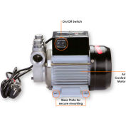 Groz 44514 Continuous Duty Electric Fuel Pump, 115V AC Motor, 60HZ, 1-Inch NPT