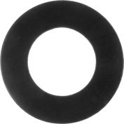 Ring Viton Flange Gasket for 2" Pipe-1/16" Thick - Class 150