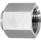 316 SS 37 Degree Flared Fitting - Caps for 1" OD Tubing - Pkg Qty 2