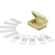 AmScope PB10 10 pc. Prepared & Blank Microscope Glass Slides