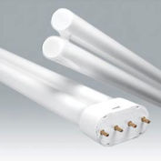 Ushio 3000412 Cf-L40se/835, Single Tube, 40 Watts, 12000 Hours- Cfl Bulb - Pkg Qty 10