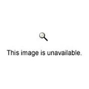 Ushio 5000262 Upx-44, Pulse Xenon Bulb, 600 Watts, 150 Hours - Pkg Qty 6