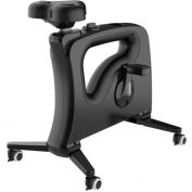 FlexiSpot® V9UB Standing Desk Mate - Under Desk Bike, Black