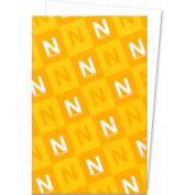 Neenah Paper Exact Vellum Bristol 80213, 11" x 17", White, 250/Pack