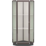 Prominence Lighted Corner Case, Plaque Back, Dark Bronze Frame, 28"L x 77"H x 28"D