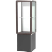 Prominence Spotlight Lighted Tower Case, Plaque Back, Bronze Frame, Locking Base, 24"L x 72"H x 24"D