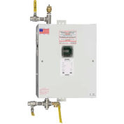 Electric Tankless Water Heaters