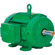 WEG Cooling Tower Motor, 00712ET3HCT254T, 7.5 HP, 1200 RPM, 575 Volts, 3 Phase, TEFC