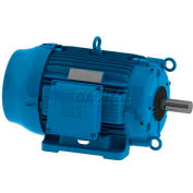WEG Cooling Tower Motor, 00712ET3PCT254T-W22, 7.5 HP, 1200 RPM, 200 Volts, 3 Phase, TEFC