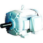 WEG Oil Well Pumping, 01509ES3EOW324T, 15 HP, 900 RPM, 208-230/460 Volts, TEFC, 3 PH
