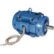WEG Pad Mount Motor, 02018ET3EPM254/6Y, 20 HP, 1800 RPM, 208-230/460 Volts, 3 Phase, TEAO