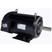WEG NEMA Premium Efficiency Motor, 02036ET3ERSR 20 HP, 3600 RPM, 208-230/460 V, TEFC, 254/6TC, 3 PH