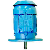 WEG P-Base Motor, 02518EP3E284HP, 25 HP, 1800 RPM, 230/460 Volts, TEFC, 3 PH