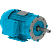 WEG Close-Coupled Pump Motor-Type JM, 03012ET3E326JM-W22, 30 HP, 1200 RPM, 208-230/460 V, TEFC, 3PH