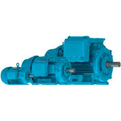 WEG Crusher Duty® Motor, 10012ET3GRB444T-W22, 100 HP, 1200 RPM, 460 Volts, TEFC, 3 PH