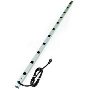 Wiremold 7011ULBD20R CabinetMATE Surge Strip, 125V, 20A, 70"L, 11 Outlets