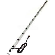 Wiremold 7712ULBD20R CabinetMATE Surge Strip, 125V, 20A, 77"L, 12 Outlets