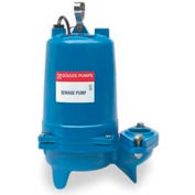 Goulds WS2034BHF 2" Submersible Sewage Pump - 2 HP- 3500 RPM- 460V- 5.8 Amps