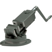 Wilton 11703 Model AMV/SP-50 2" Jaw Width 1" Jaw Depth 2-Axis Precision Angular Vise