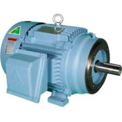 Hyundai PEM Motor HHI30-18-286TC, TEFC, Rigid-C, 3 PH, 286TC, 30 HP, 1800 RPM, 36 FLA