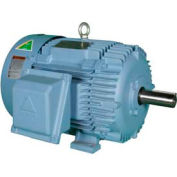 Hyundai PEM Motor HHI50-18-326T, TEFC, Rigid, 3 PH, 326T, 208-230/460V, 50 HP, 1800 RPM, 59.9 FLA