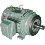 Hyundai T-Frame Motor IEEE30-18-286TC, TEFC, Rigid-C, 3 PH, 286TC, 30 HP, 460V, 36 FLA