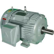 Hyundai T-Frame Motor IEEE40-18-324T, TEFC, Rigid, 3 PH, 324T, 460V, 48.8 FLA