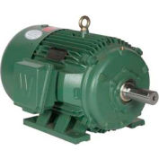 Worldwide Electric Motor PEWWE40-12-575-364T, PREM EFF, TEFC, Rigid, 3 PH, 364T, 575V, 40.6 FLA
