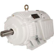 Worldwide Electric Oil Well Pump Motor OW40-12-365T, TEFC, Rigid, 3 PH, 365T, 230/460/796V, 40 HP