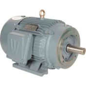 Worldwide Electric T-Frame Motor PEWWE40-12-364TC, GP, TEFC, Rigid-C, 3 PH, 364TC, 49.1 FLA