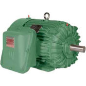 Worldwide Electric EXP Motor XPEWWE100-12-444/5TBB, TEXP, Rigid, 3 PH, 444/5T, 100 HP, 1200 RPM