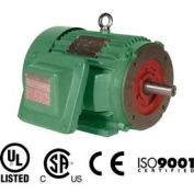 Worldwide Electric EXP Motor XPEWWE40-18-324TC, TEXP, Rigid-C, 3 PH, 324TC, 40 HP, 45.5 FLA